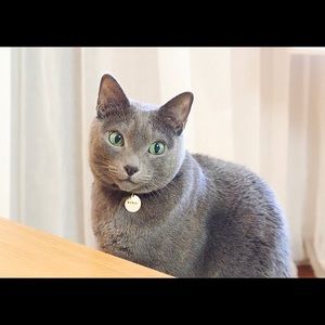 Meet your Posher, Hieu anh